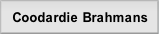 Coodardie Brahmans.