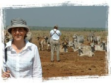 Guests amongst the cows